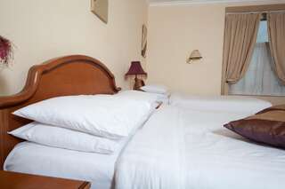 Отель Darnley Lodge Hotel Athboy Двухместный номер с 2 отдельными кроватями-3